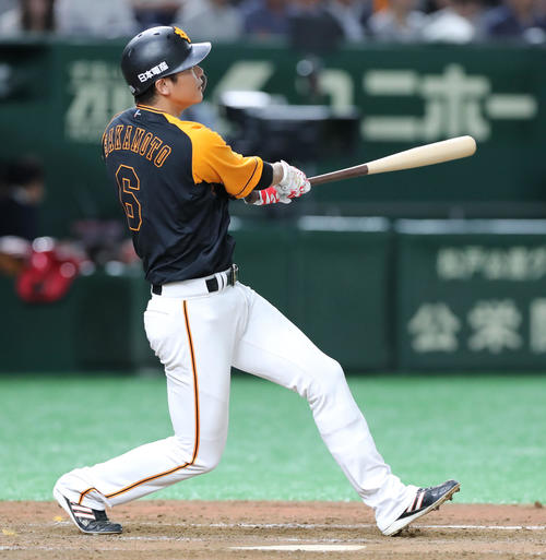 巨人対広島　5回裏巨人2死、左越えソロ本塁打を放つ坂本勇（撮影・垰建太）