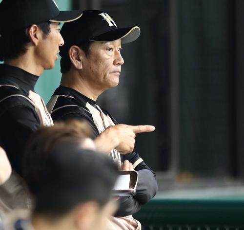 西武対日本ハム　ベンチで渋い表情の栗山監督（撮影・黒川智章）