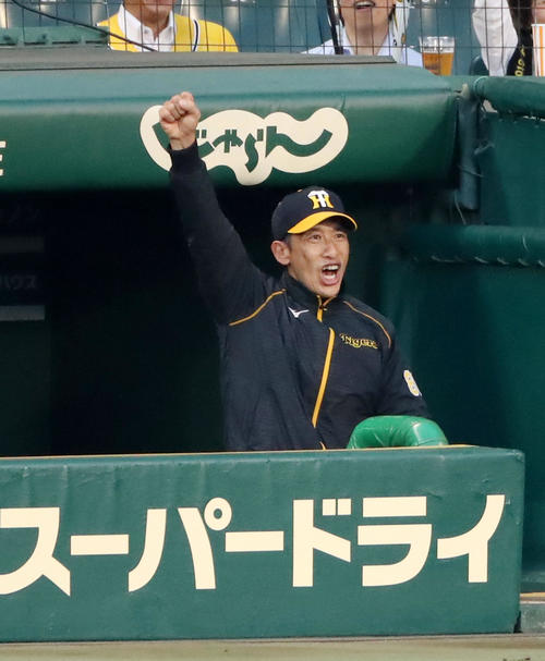 ベンチでガッツポーズを見せる矢野監督（2019年5月10日撮影）