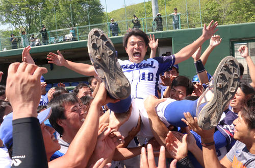 旭川大対東農大北海道　4季ぶり優勝を決めチームメートに胴上げされる東農大北海道の田辺主将（撮影・浅水友輝）
