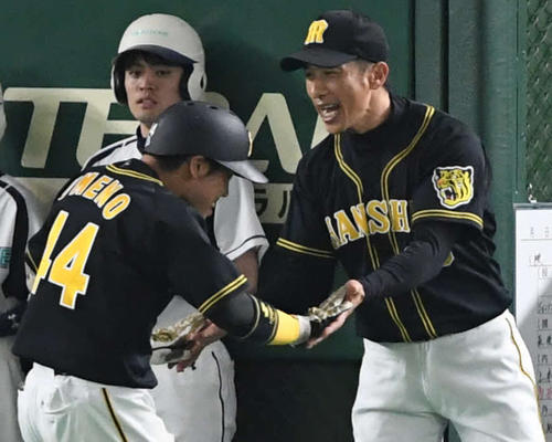 15日、タッチをかわす矢野監督（撮影・山崎安昭）