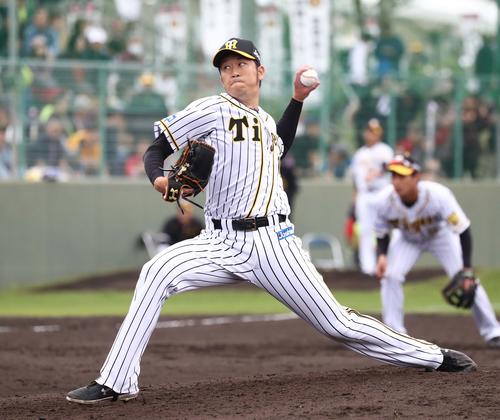 阪神岩貞祐太（2019年2月17日撮影）