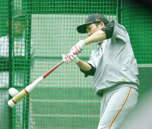 阪神対巨人　雨天中止となり、室内で打撃練習をする坂本勇（撮影・狩俣裕三）