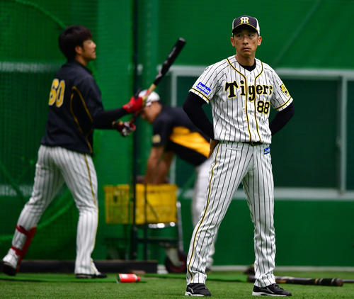 練習を見守る阪神矢野耀大監督（撮影・清水貴仁）