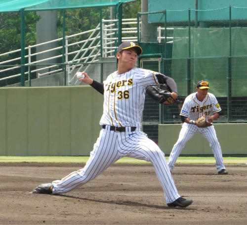 ウエスタン・リーグ阪神対オリックス　先発予定だった阪神岩貞祐太投手に代わって急きょ先発した阪神浜地真澄投手（撮影・磯綾乃）