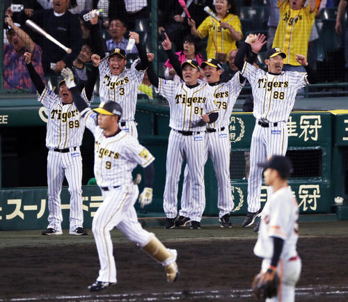 阪神対巨人　12回裏阪神1死満塁、高山（手前左）がサヨナラ満塁本塁打を放ち、ジャンプして喜びを爆発させる矢野監督（右端）（撮影・前田充）