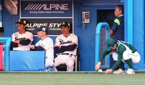 ヤクルトのベンチ前には塩が盛られる。右から小川監督、田畑コーチ、宮本ヘッドコーチ（撮影・足立雅史）