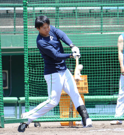 フリー打撃で安打性の当たりを放つ宮沢直人（撮影・山岸章利）