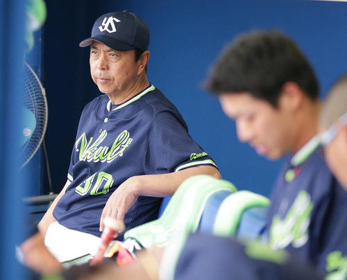 DeNA対ヤクルト　グラウンドを見つめるヤクルト小川監督。右は山田哲（撮影・中島郁夫）