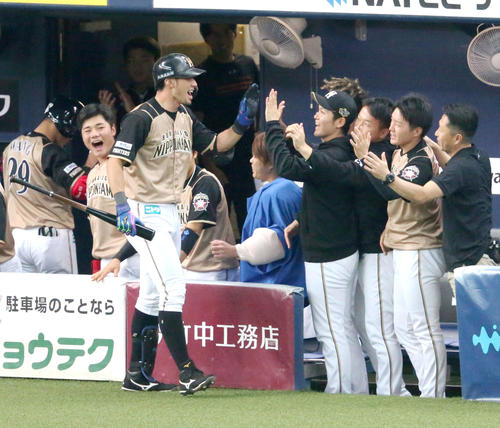 オリックス対日本ハム　9回表日本ハム無死一、二塁、大田泰示（手前）は同点中越え3点本塁打を放ちベンチの出迎えを受ける（撮影・上山淳一）