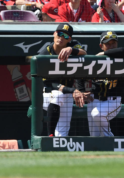 広島対阪神　スタメンから外れた糸井嘉男はベンチから試合を見る（撮影・奥田泰也）