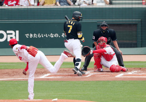 広島対阪神　1回表阪神2死、糸井は死球を受ける（撮影・加藤哉）