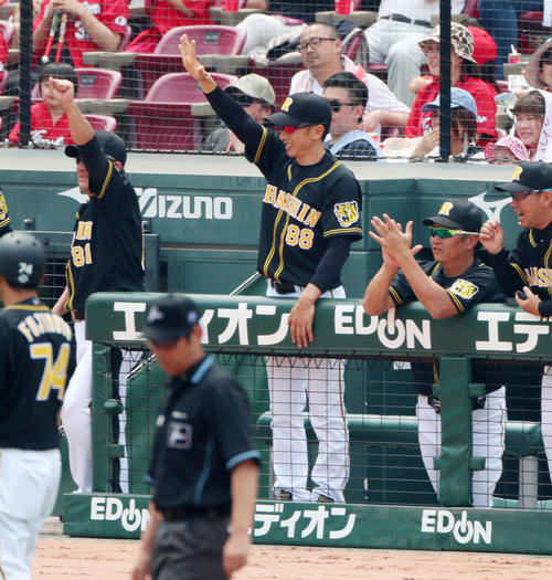 2回表阪神1死二、三塁、矢野監督は近本の右前適時打にベンチでガッツポーズを見せる（撮影・加藤哉）