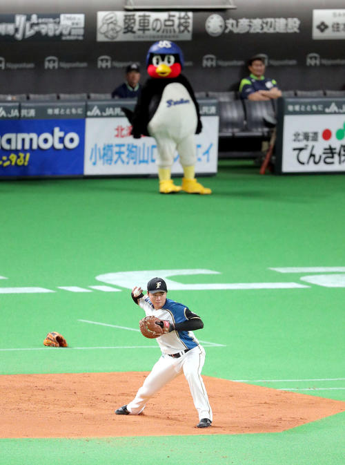 日本ハム対ヤクルト　試合前、日本ハム清宮の守備練習を見つめるヤクルトの球団マスコット・つば九郎（奥）（撮影・佐藤翔太）