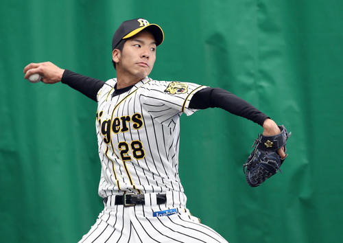 阪神小野泰己