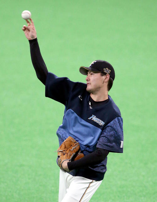 日本ハム対ヤクルト試合前、キャッチボールをする日本ハム有原（撮影・佐藤翔太）