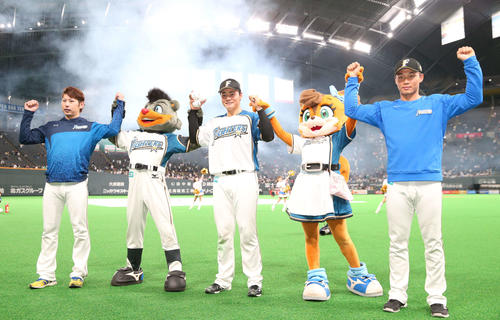 日本ハム対ヤクルト　スタンドのファンの声援に応える左から加藤、清宮、王柏融（撮影・黒川智章）