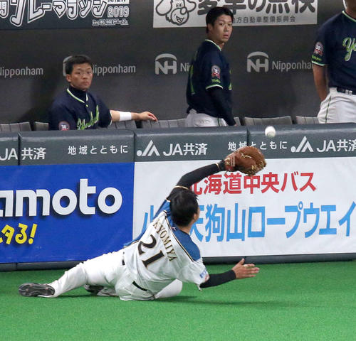 日本ハム対ヤクルト　7回表ヤクルト2死一、二塁、清宮は代打荒木の一塁邪飛を好捕する（撮影・佐藤翔太）