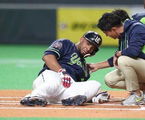 日本ハム対ヤクルト　6回表、自打球を当て倒れるバレンティン（撮影・黒川智章）