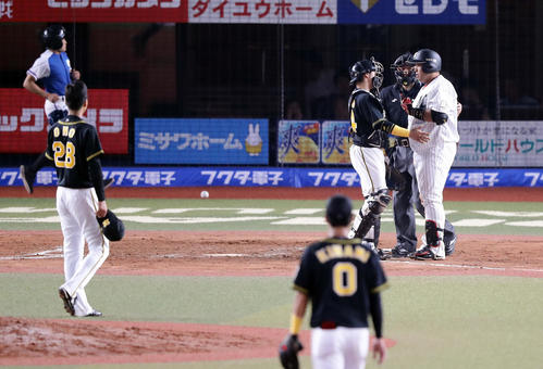 ロッテ対阪神　7回裏2死二、三塁、井上が死球を受け、警告試合となる。投手小野（撮影・浅見桂子）