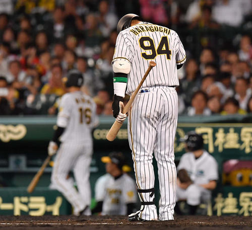 広島対日本ハム　　6回裏阪神2死二、三塁、一礼して打席に入る原口文仁（撮影・上田博志）