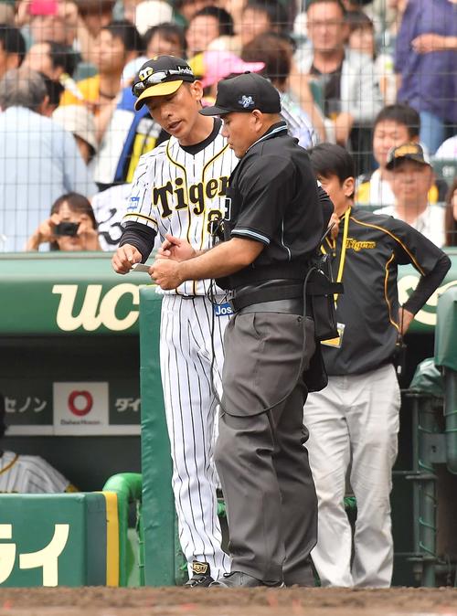広島対日本ハム　選手交代を告げる矢野燿大監督（撮影・上田博志）