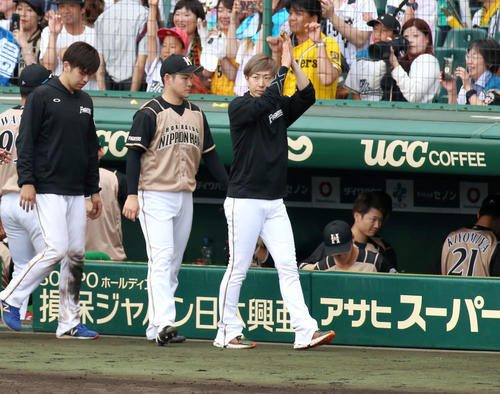 阪神対日本ハム　阪神に勝利した金子弌大はスタンドのファンに手を叩いてあいさつする（撮影・上山淳一）