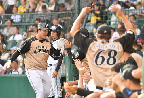 阪神対日本ハム　8回表日本ハム無死、左中間へソロ本塁打を放ちナインと笑顔でハイタッチする横尾（撮影・上田博志）