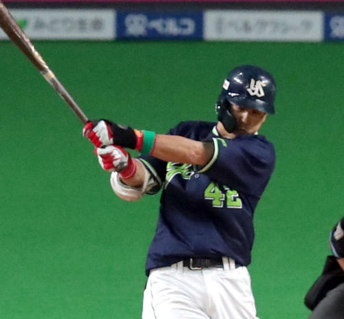 ヤクルト坂口智隆（2019年5月30日）
