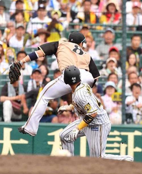 7回裏阪神1死二塁、三塁盗塁を決めた梅野は捕手清水の悪送球で同点の生還を果たす（撮影・上田博志）