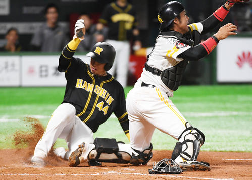 ソフトバンク対阪神　4回表阪神1死一、三塁、北條のスクイズで生還する三塁走者梅野。捕手高谷（撮影・今浪浩三）