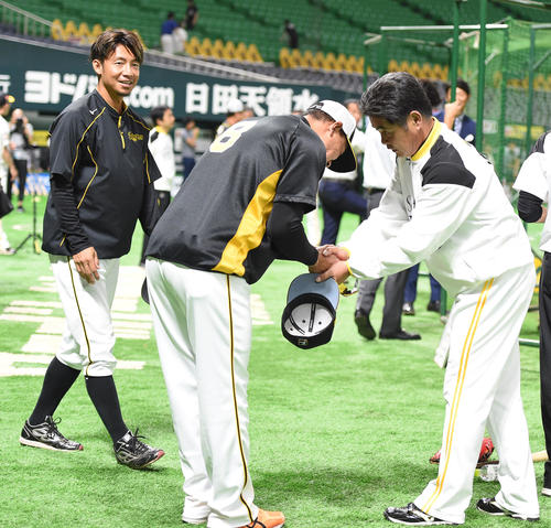 ソフトバンク対阪神　工藤公康監督（右）と握手を交わす福留孝介、左は鳥谷敬（撮影・今浪浩三）