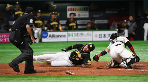 ソフトバンク対阪神　4回表阪神1死一、二塁、高山の右前適時打で一気に生還する二塁走者の福留、捕手高谷（撮影・今浪浩三）