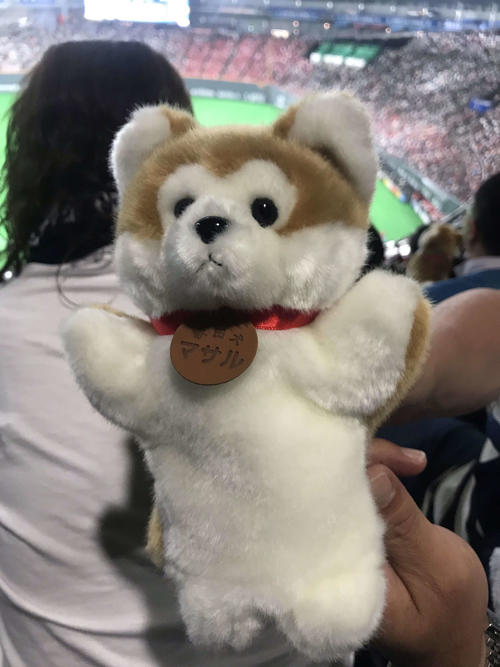 日本ハム吉田輝の応援グッズの秋田犬のパペット（撮影・田中彩友美）