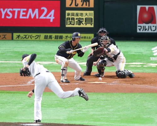 7回表阪神無死二塁、近本は送り犠打成功（撮影・梅根麻紀）