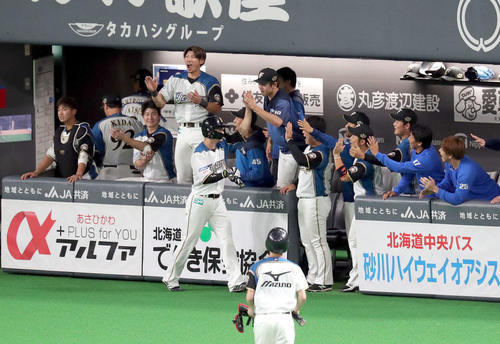 日本ハム対広島　10回裏日本ハム1死三塁、王柏融の適時二塁打で生還した西川を迎える日本ハムナイン（撮影・佐藤翔太）