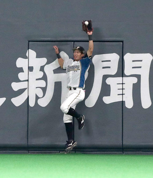 日本ハム対巨人　5回表巨人2死、坂本勇の打球をフェンスに激突しながら捕球する大田（撮影・黒川智章）