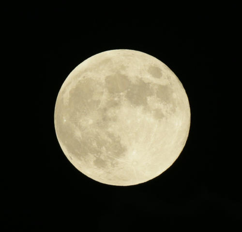 ロッテ対中日　ZOZOマリンの上空に姿を見せた6月の満月「ストロベリームーン」（撮影・中島郁夫）