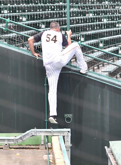バックスクリーンに入ったフライングディスク（左）を取りに行く阪神メッセンジャー（撮影・上田博志）
