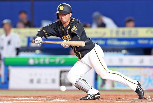 阪神近本光司（2019年6月5日撮影）