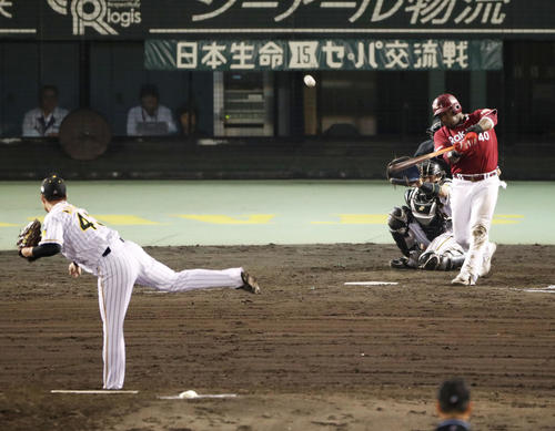 阪神対楽天　8回表楽天一塁二、三塁、勝ち越しの右犠飛を放つウィーラー（撮影・前田充）