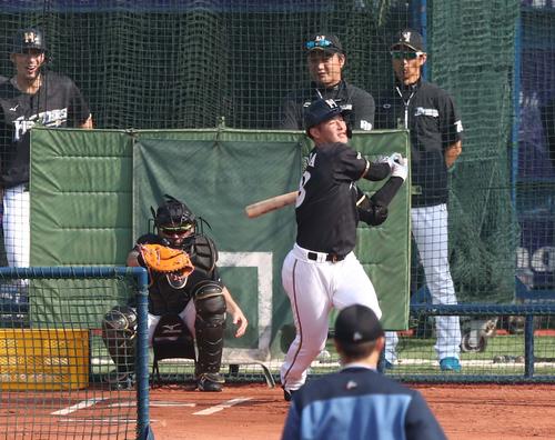 DeNA対日本ハム　フリー打撃で空振りする吉田輝（撮影・黒川智章）