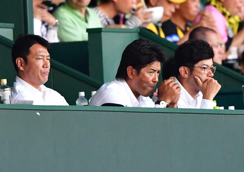 阪神－楽天戦を視察する侍ジャパンの稲葉監督（中央）。左が井端、右が建山コーチ（撮影・清水貴仁）