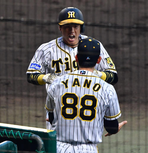 阪神対楽天　4回裏阪神2死、中越え本塁打を放ち矢野耀大監督（手前）とタッチを交わす梅野隆太郎（撮影・清水貴仁）