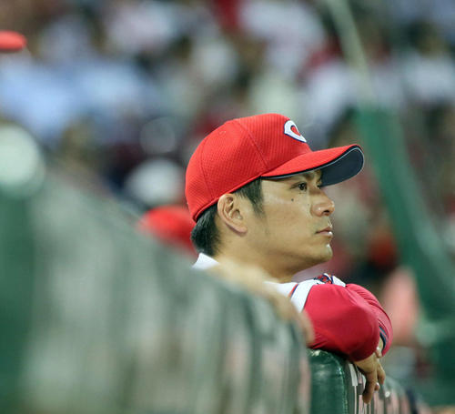 広島対ロッテ　試合を見つめる田中広輔（撮影・栗木一考）