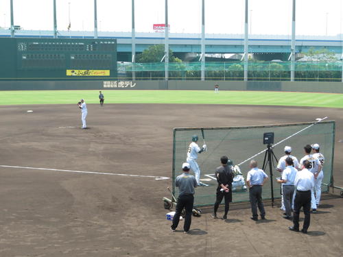 シート打撃に登板した阪神ピアース・ジョンソン投手（撮影・磯綾乃）