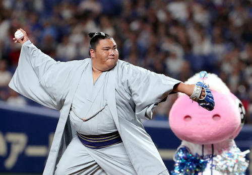 中日対日本ハム　始球式を務める御嶽海（撮影・佐藤翔太）