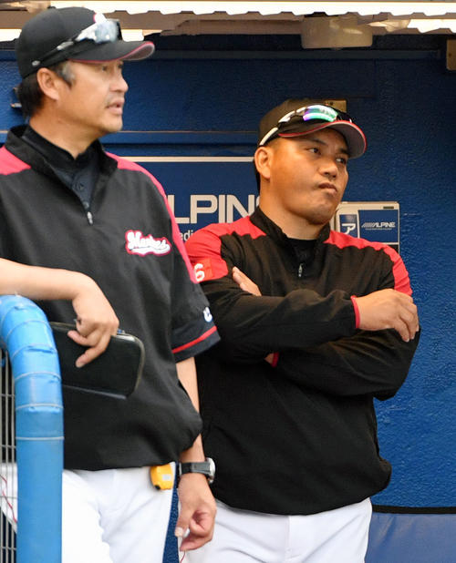 ヤクルト対ロッテ　厳しい表情で戦況を見つめるロッテ井口監督（奥）（撮影・滝沢徹郎）