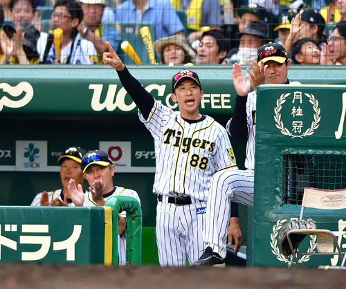 8回裏阪神1死満塁、本塁打が出れば同点の場面で陽川に指示を送る矢野監督（撮影・清水貴仁）