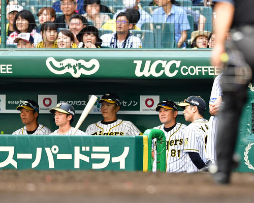 今年の交流戦最終試合に敗れ厳しい顔をみせる矢野監督（右）（撮影・清水貴仁）